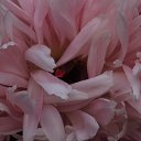 ���� ������, �������, 41 ��� - ��������� 12 ���� 2015 � ������ ����� �����