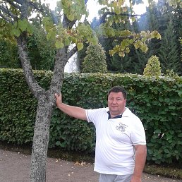 �������, ��������, 55 ���