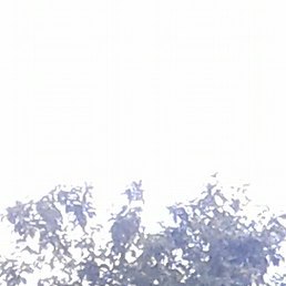 ����, ���������, 53 ����