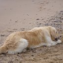 ���� �������� ���������, �����������, 63 ���� - ��������� 21 ������� 2015 � ������ �����