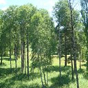 ���� ������, ����������� - ��������� 2 ���� 2015 � ������ ������� ����� ���� 2015�