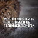  , --, 57  -  16  2015    