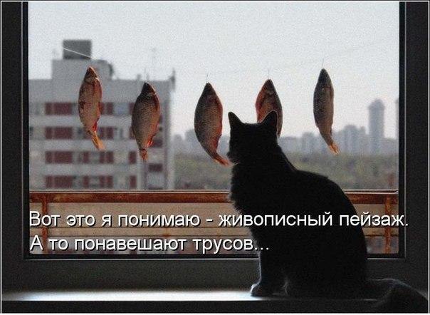    :-) - 9  2015  19:40