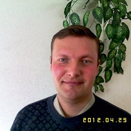 ����, �����������, 50 ���