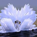 ���� �����, ������������ - ��������� 16 ������� 2015 � ������ ������ ��������