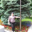 ���� ��������, ������������ - ��������� 7 ������� 2015 � ������ ���� ����������