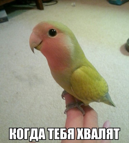    :-) - 27  2015  19:40