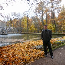 �������, �����-���������, 51 ���