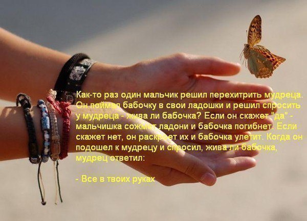   - 31  2015  14:53
