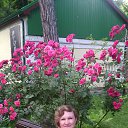 ���� ����, ��������� - ��������� 9 ���� 2015 � ������ ���� ����������