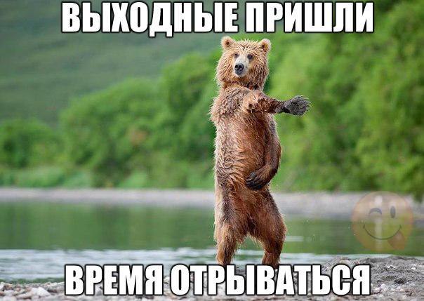     - 6  2015  19:02