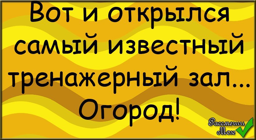 Вот и открылся самый известный тренажерный зал огород картинки