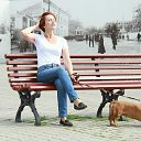 ���� �������, �����������, 54 ���� - ��������� 31 ���� 2015 � ������ ���� ����������