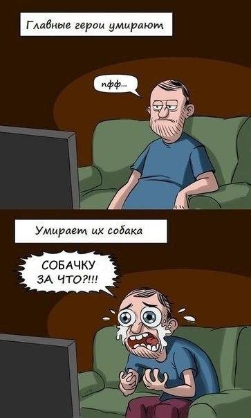    :D - 2  2015  21:11