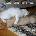  Prizrak, , 51  -  9  2015    