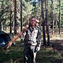 ���� �����, �����, 37 ��� - ��������� 11 ���� 2015 � ������ �������