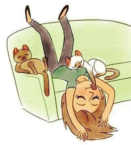   ,    :