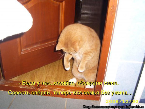 ����� �������� - 20 ���� 2015 � 10:31