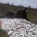 ��������� �� ������� ���� ����������