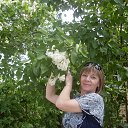 ���� ������, ��������, 56 ��� - ��������� 30 ��� 2015 � ������ ���� ����������