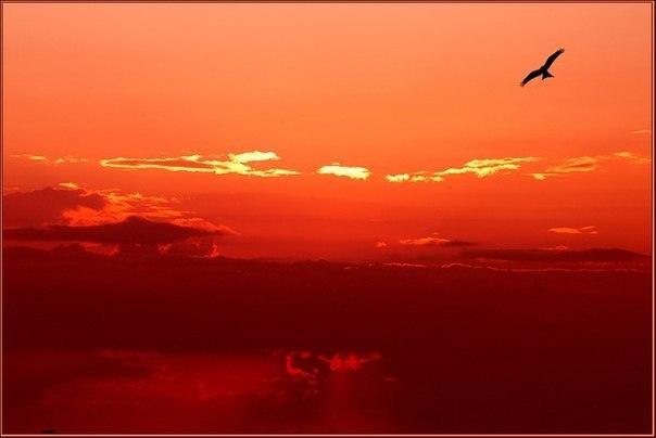         -     " "  -   : https://fotostrana.ru/away?to=/sl/9x2 - 22  2015  10:13
