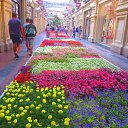  , , 65  -  26  2015    »