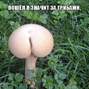 ���� �������, �����-��������� - ��������� 30 ���� 2015 � ������ ������ ��������