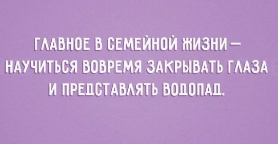   - 11  2015  13:42