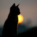 ���� �����, ���������� - ��������� 6 �������� 2015 � ������ ������ ��������