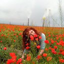  , , 46  -  11  2015   ,  !