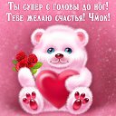 ���� �������, �������-���������, 51 ��� - ��������� 28 ���� 2015 � ������ �������� ��������