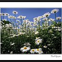 ���� ���k�, ����������, 63 ���� - ��������� 3 ������� 2015 � ������ ����������