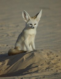 |В| Счастье есть... |В| - 9 августа 2015 в 23:22 - 6