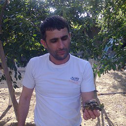 ���� �����, ��������, 58 ��� - ��������� 14 ���� 2015