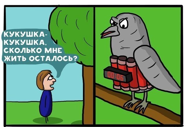    :-) - 15  2015  03:40