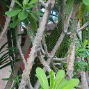    -  ,  -  23  2015    2014.  Lawana.  11-. (2 )