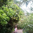 ���� ��������, �������� - ��������� 28 ���� 2015 � ������ ��������� �� �.����))�