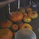 ���� ������, ������, 44 ���� - ��������� 7 �������� 2015 � ������ ���� ����������