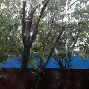  Nokas, , 44  -  18  2015    18  2015 .. 