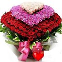 ���� �����, ����, 59 ��� - ��������� 18 ��� 2015 � ������ ���� ����������