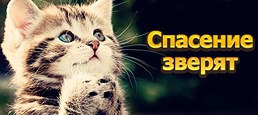 �������� �� ������� ��������� ������