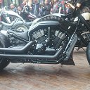 ���� ��������, ������������, 55 ��� - ��������� 23 ��� 2015 � ������ ������ ��������