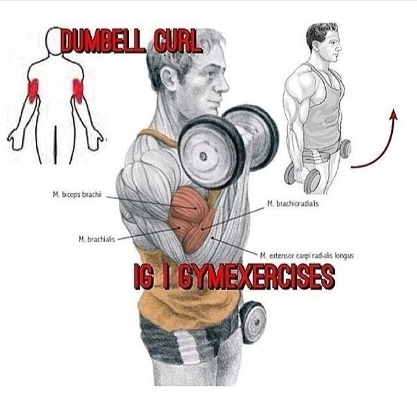     . #@fitness.blog - 3