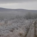  ,  -  28  2015    