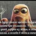 ���� �����, ����������� - ��������� 21 ���� 2015 � ������ ������ ��������