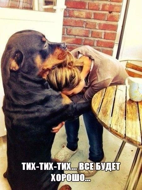 SportFeed - 27  2015  10:30