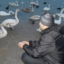 ���� ����, ����������� - ��������� 15 ���� 2015 � ������ ���� ����������