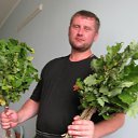 ���� �������, ����������, 50 ��� - ��������� 5 ���� 2015 � ������ ���� ����������