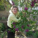 ���� �����, �����������, 59 ��� - ��������� 7 ��� 2015