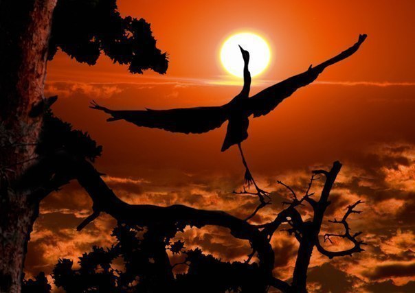          -     " "  -   : https://fotostrana.ru/away?to=/sl/9x2 - 7  2015  21:30